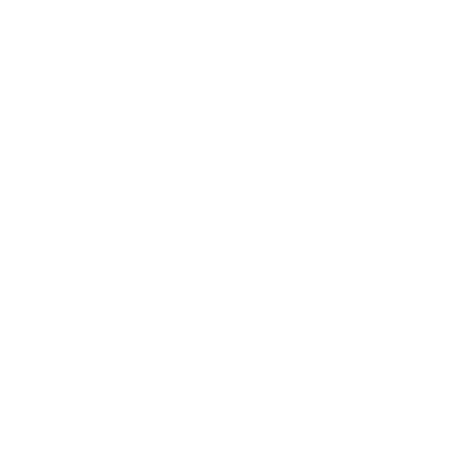 Decorative ceiling icon