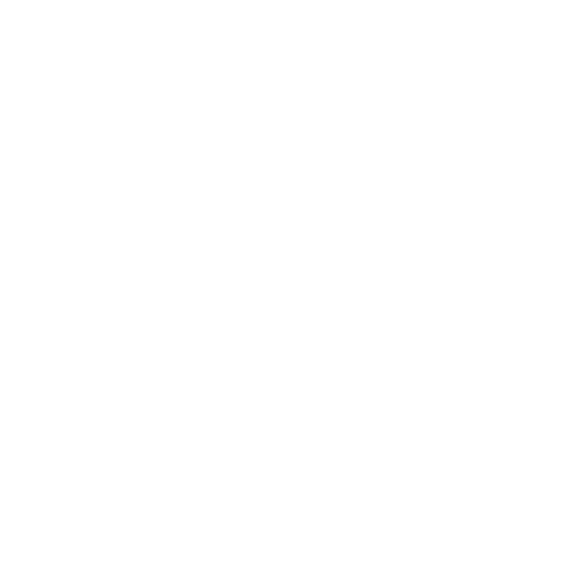 Lasting Quality Icon